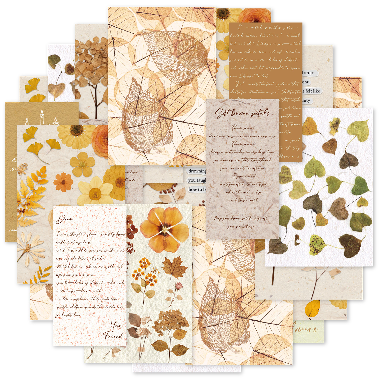 Etori Life 20Pcs Vintage Autum - Korean Lifestyle Book 评论和价格